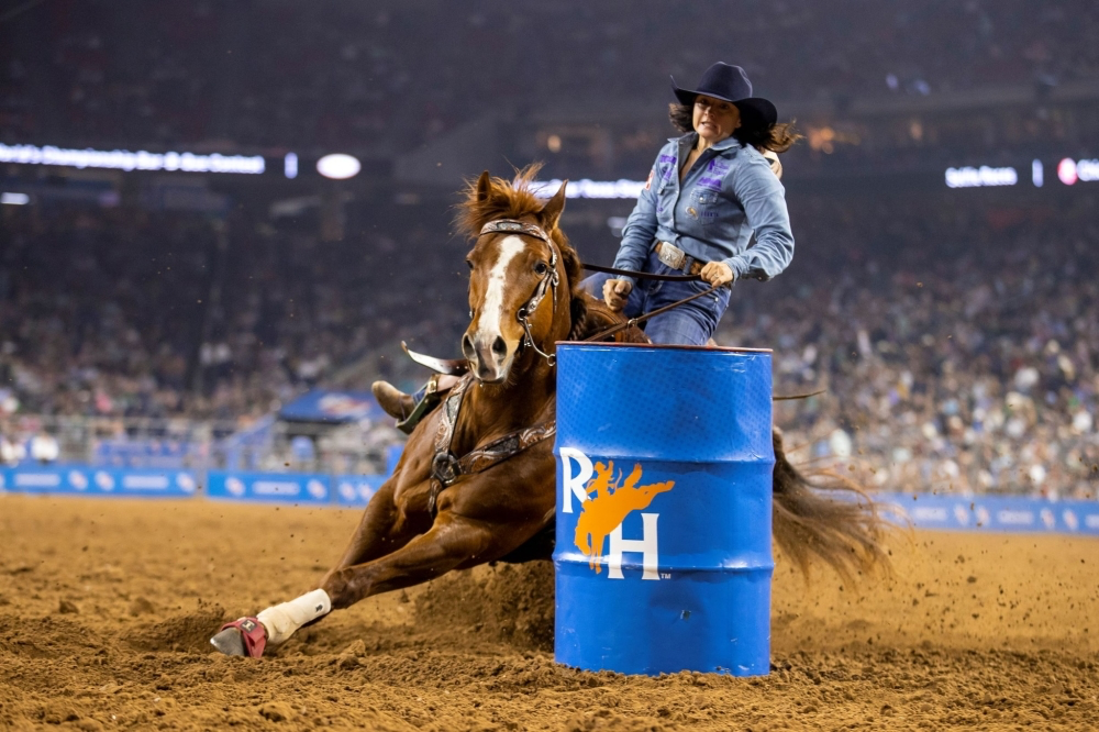 Experience the Thrill of the Houston Livestock Show and Rodeo